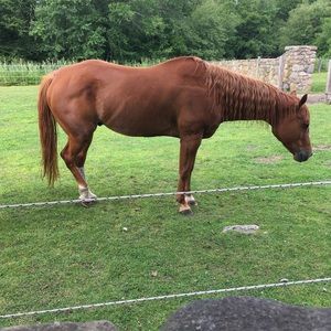 Meet your Posher, Cecile